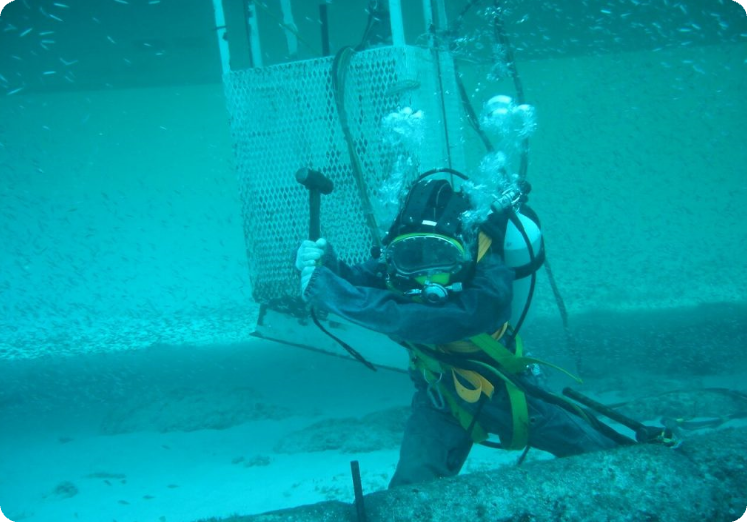 What is Occupational Diving Image